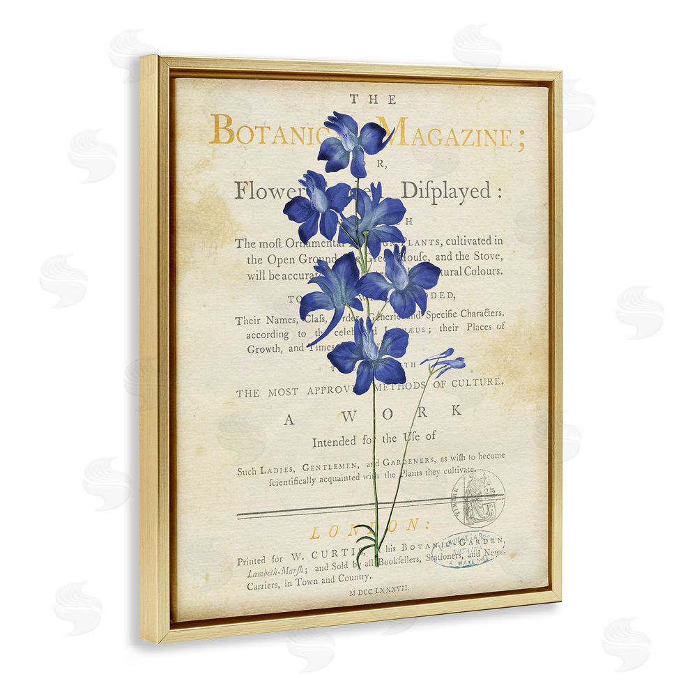 Susan Arnot Natural Botanic Garden Flower Gold Floating Frame Canvas Wall Art Print