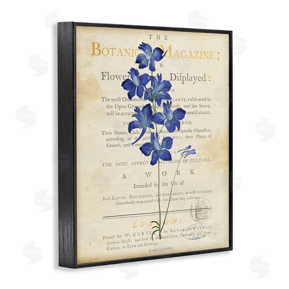 Susan Arnot Natural Botanic Garden Flower Black Framed Giclee Wall Art Print