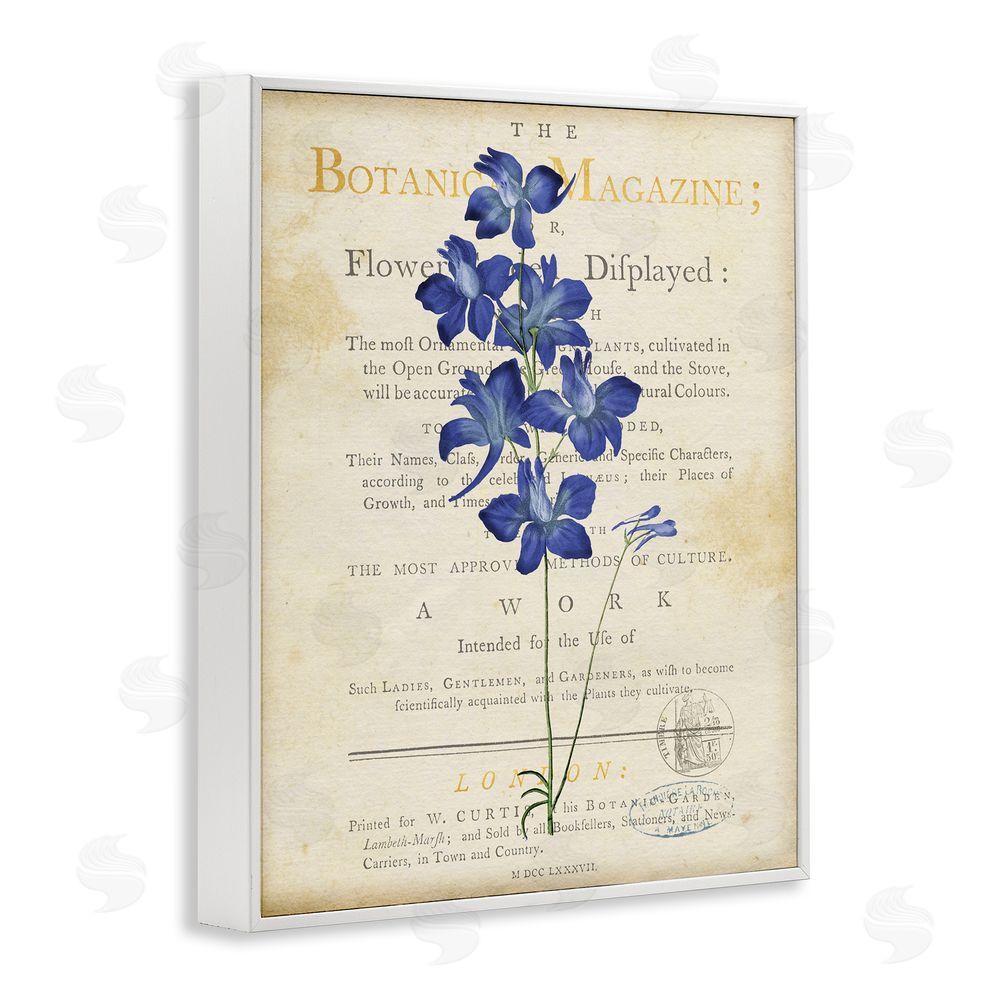 Susan Arnot Natural Botanic Garden Flower White Framed Giclee Wall Art Print