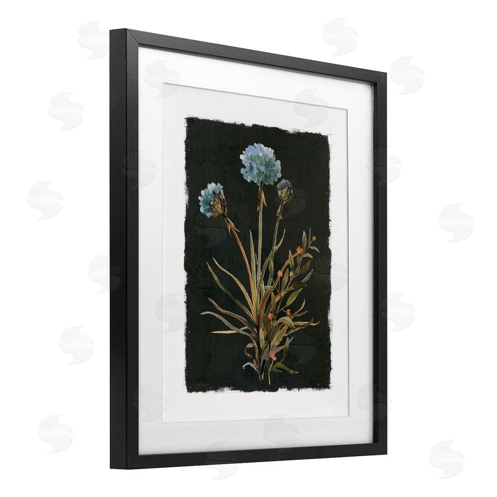 Carol Robinson Cerulean Bloom on Dark Green Black Framed Print Under Glass Wall Art