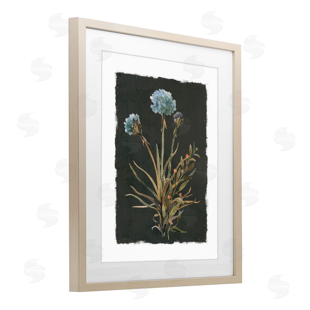 Carol Robinson Cerulean Bloom on Dark Green Brown Framed Print Under Glass Wall Art