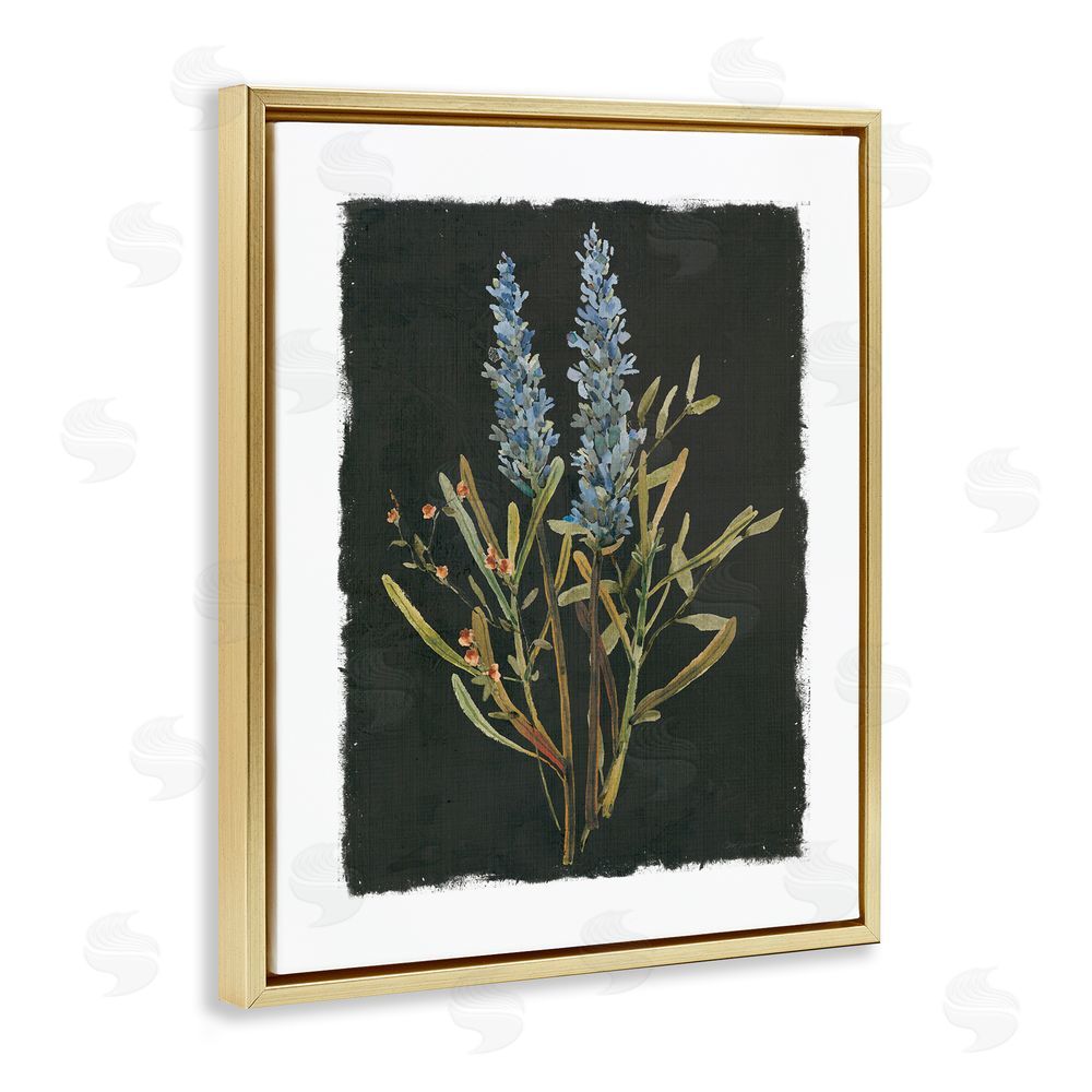 Carol Robinson Lavender Sprigs on Dark Background Gold Floating Frame Canvas Wall Art Print