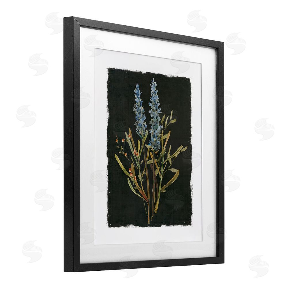 Carol Robinson Lavender Sprigs on Dark Background Black Framed Print Under Glass Wall Art