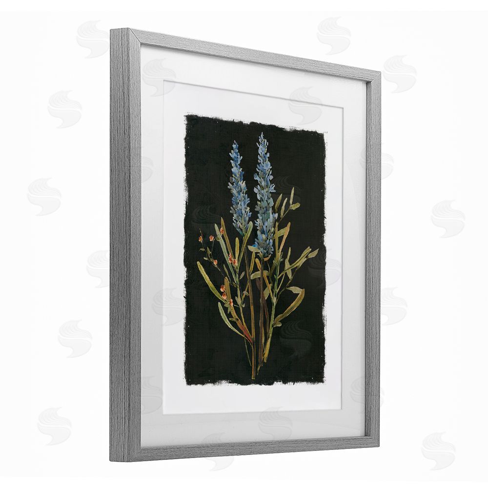 Carol Robinson Lavender Sprigs on Dark Background Gray Framed Print Under Glass Wall Art