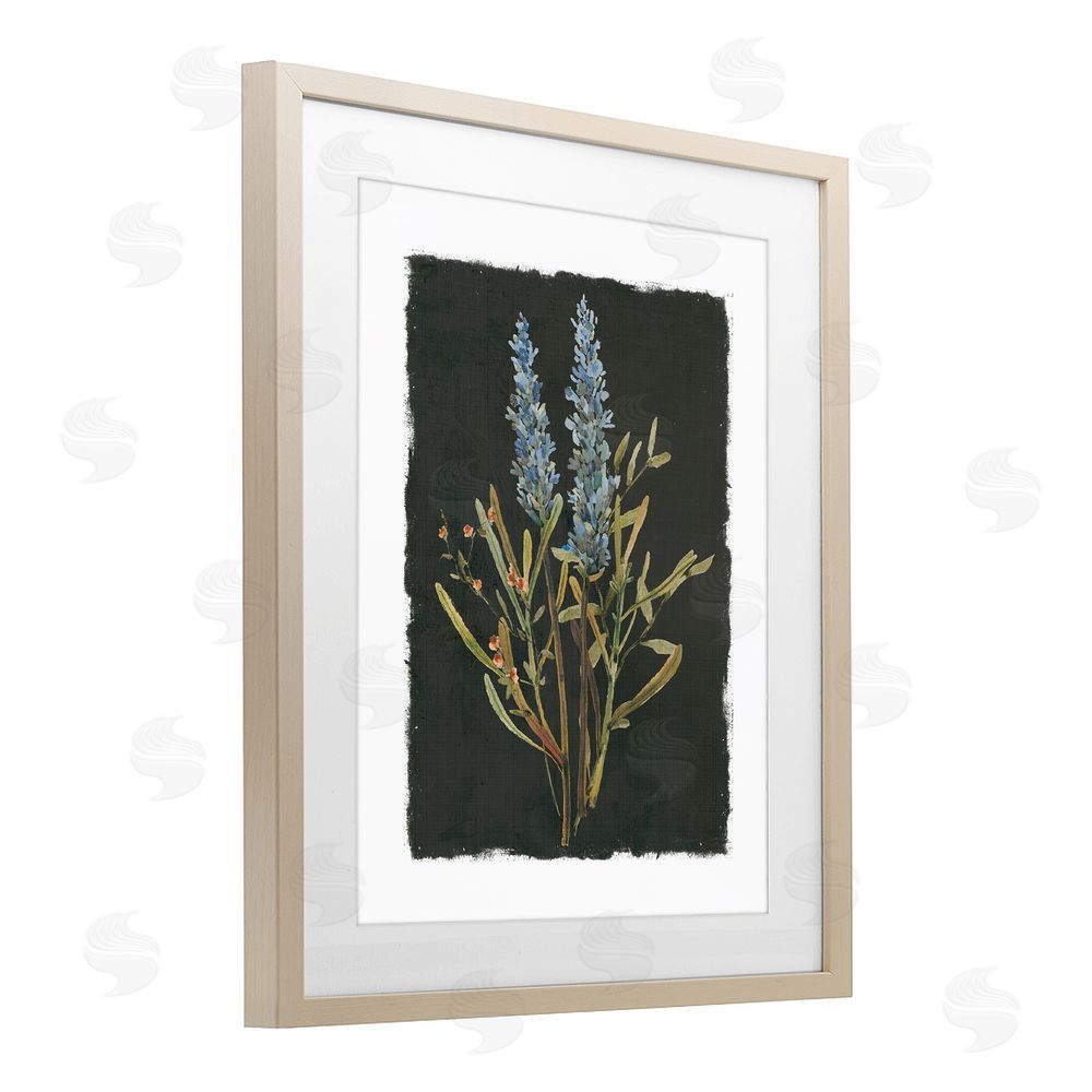Carol Robinson Lavender Sprigs on Dark Background Brown Framed Print Under Glass Wall Art