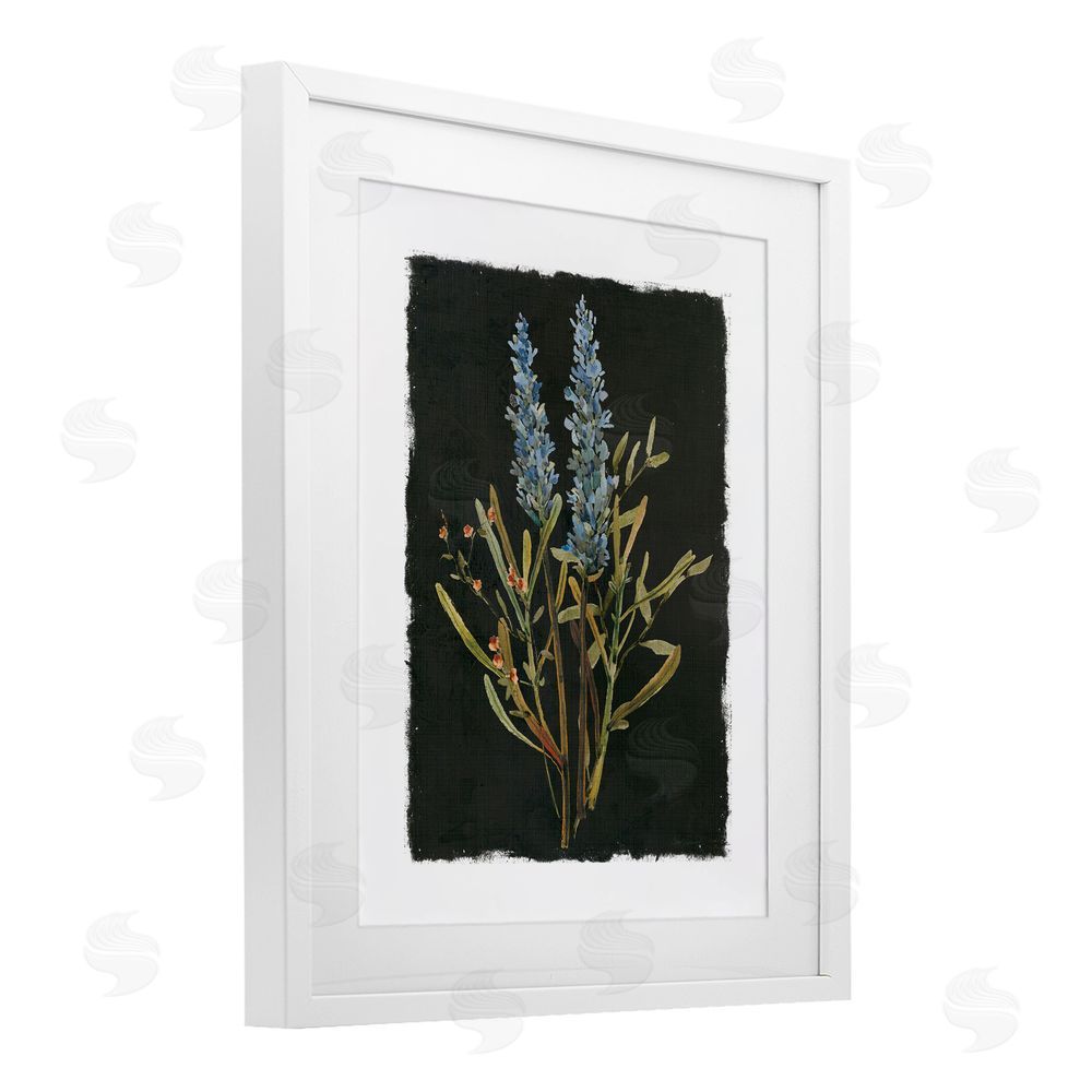 Carol Robinson Lavender Sprigs on Dark Background White Framed Print Under Glass Wall Art