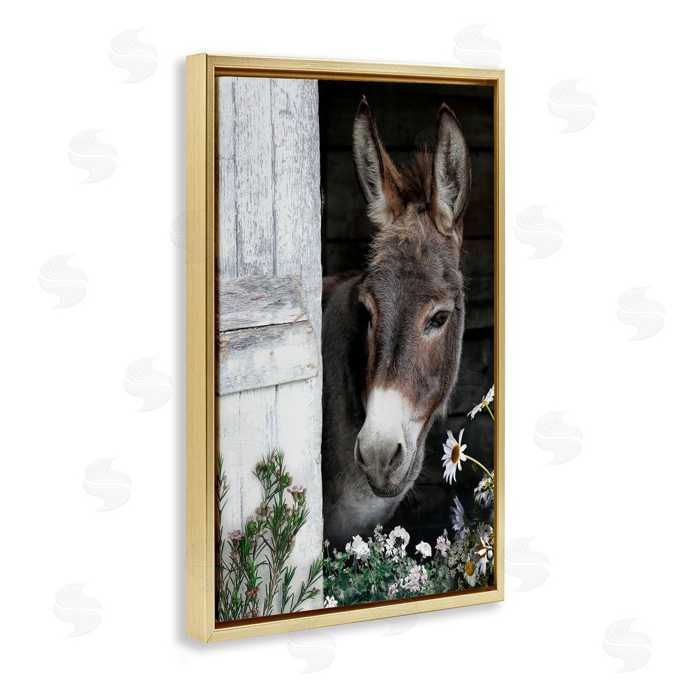 CAD Designs Gentle Donkey Peering from Barn Gold Floating Frame Canvas Wall Art Print