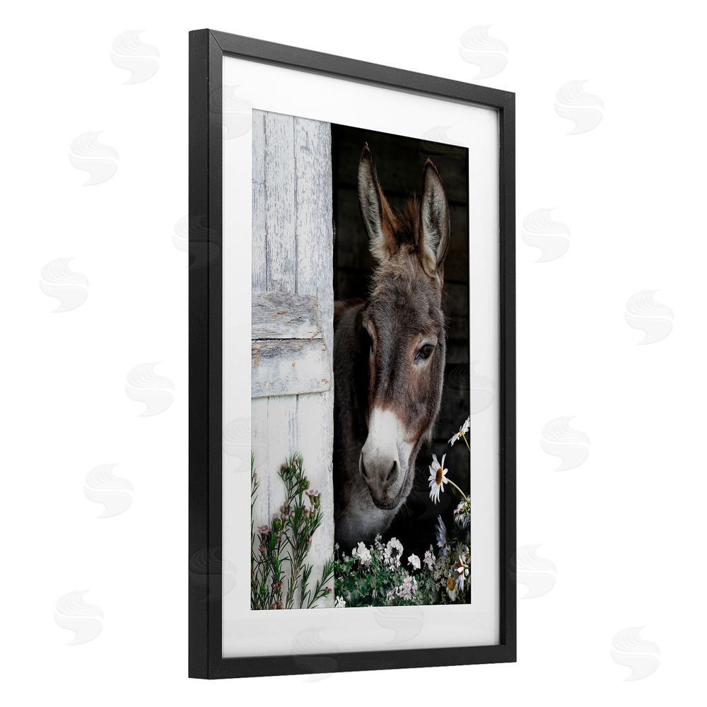 CAD Designs Gentle Donkey Peering from Barn Black Framed Print Under Glass Wall Art