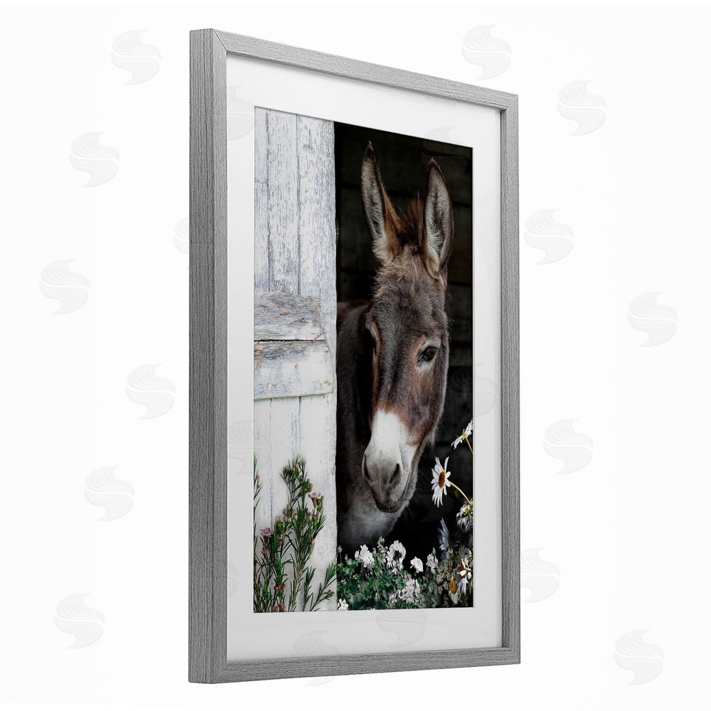 CAD Designs Gentle Donkey Peering from Barn Gray Framed Print Under Glass Wall Art
