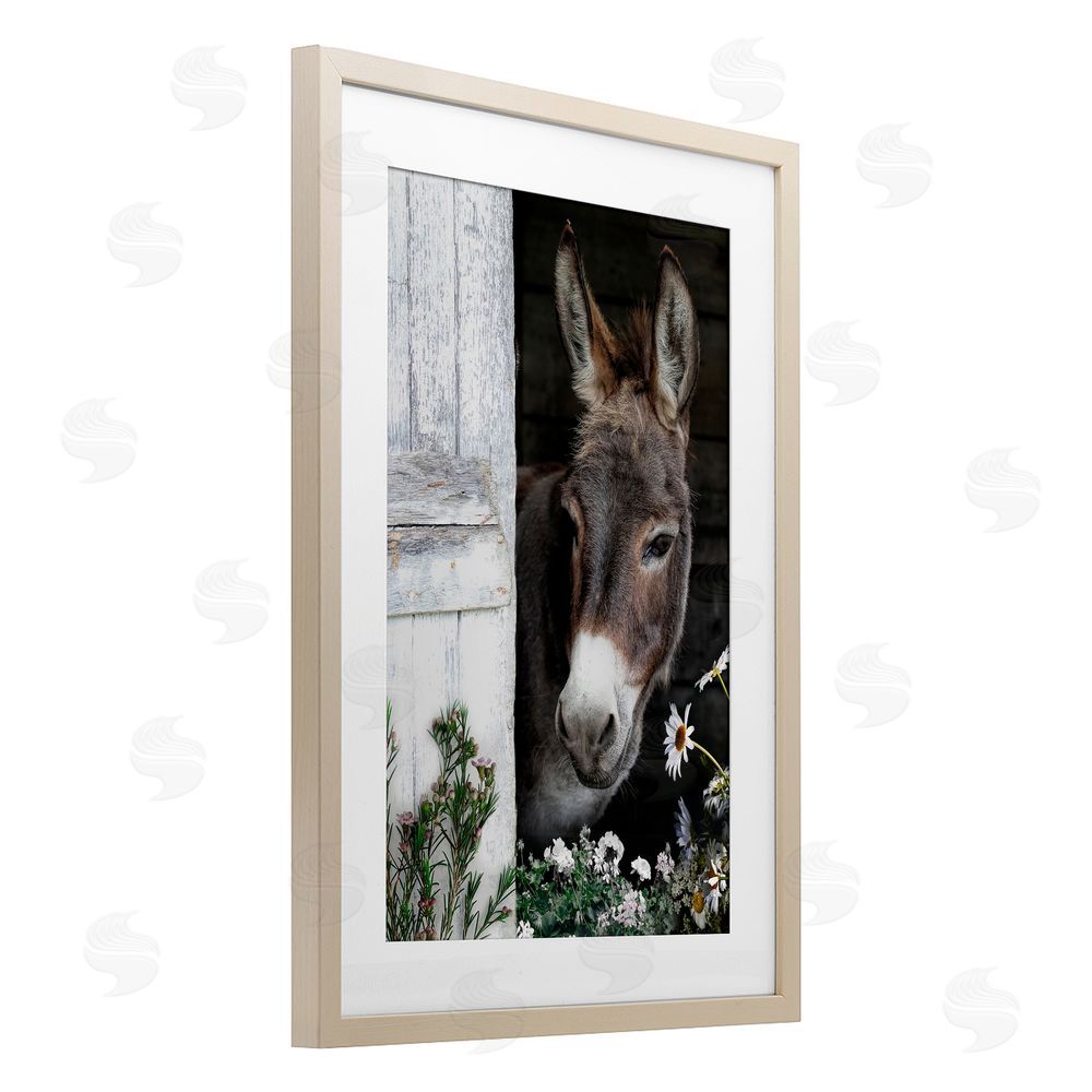 CAD Designs Gentle Donkey Peering from Barn Brown Framed Print Under Glass Wall Art