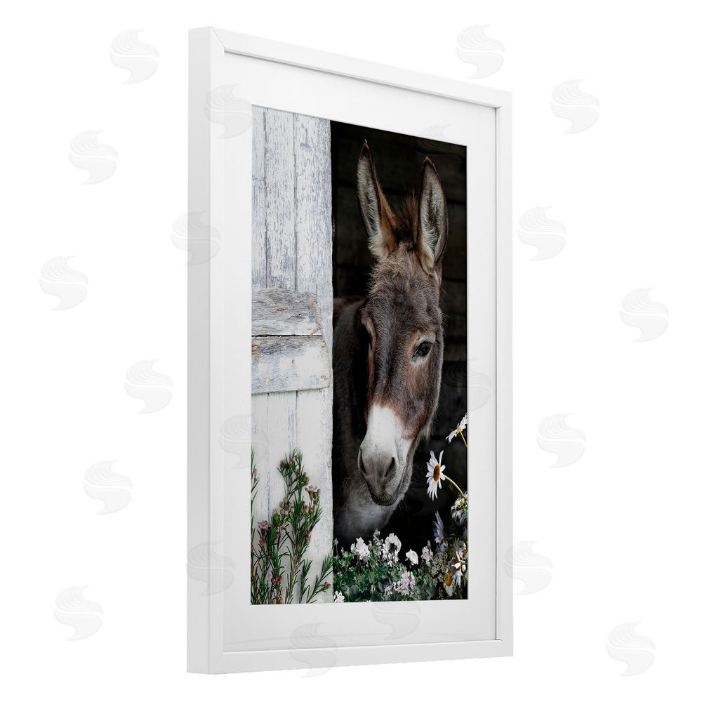 CAD Designs Gentle Donkey Peering from Barn White Framed Print Under Glass Wall Art