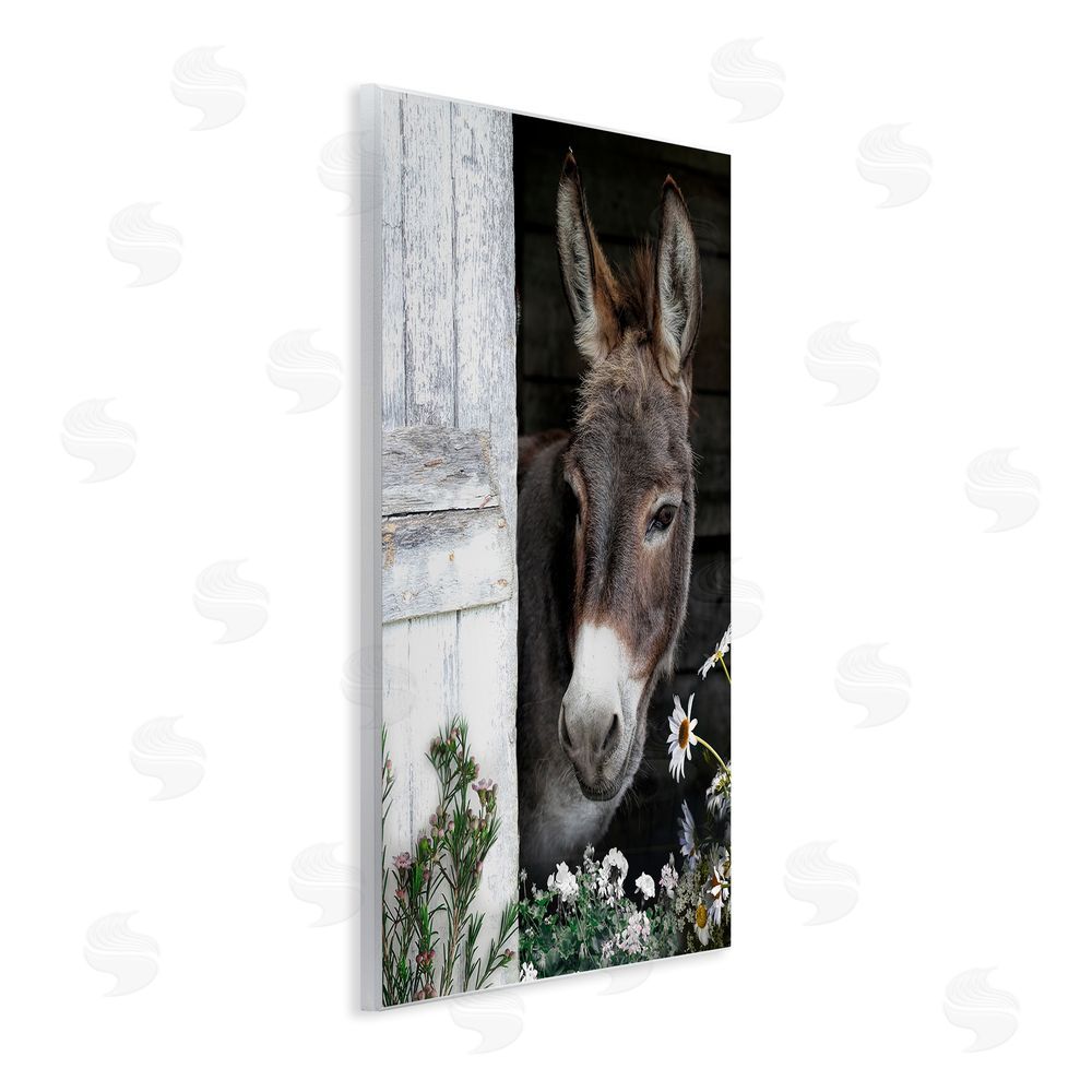 CAD Designs Gentle Donkey Peering from Barn Wooden Wall Plaque Art Print