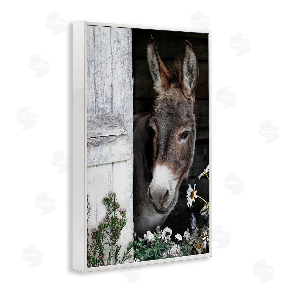 CAD Designs Gentle Donkey Peering from Barn White Framed Giclee Wall Art Print