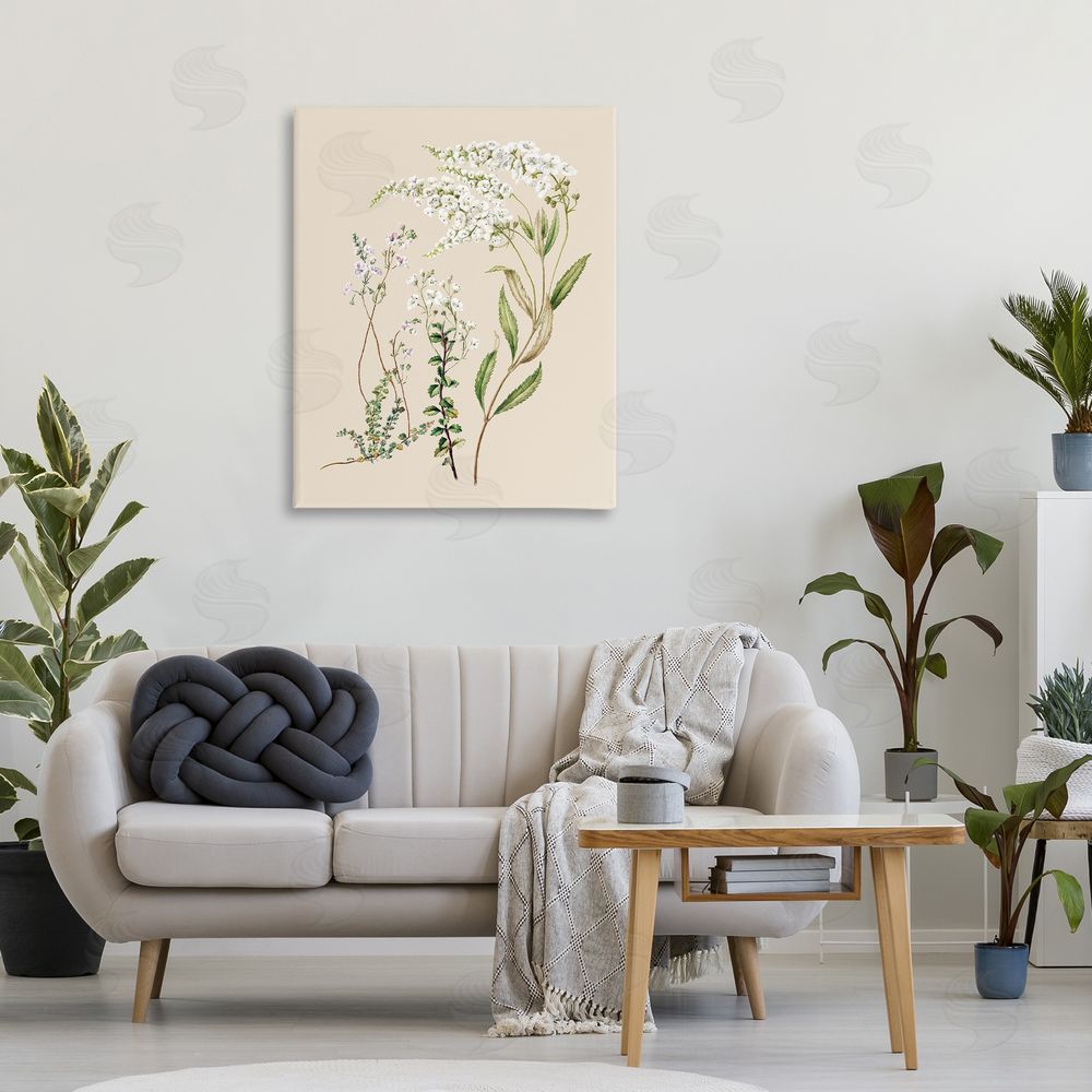 1x Curving White Wildflower Study