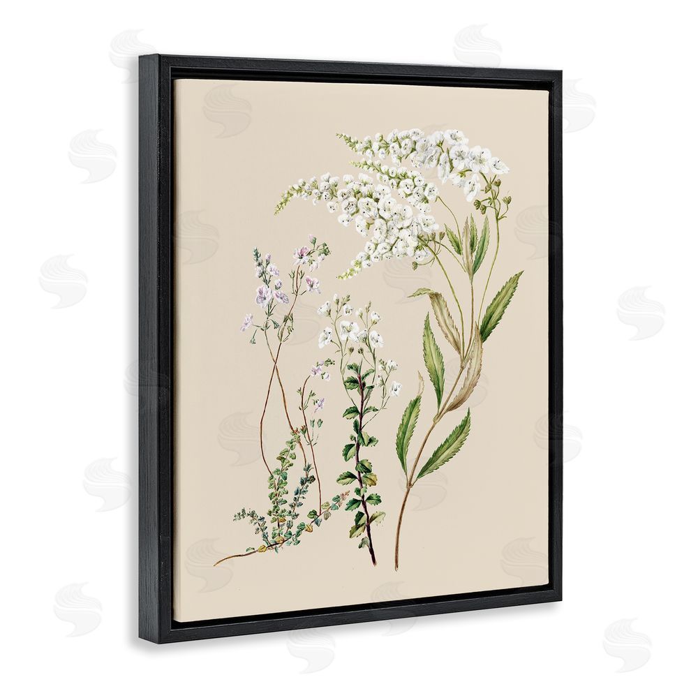 1x Curving White Wildflower Study Black Floating Frame Canvas Wall Art Print