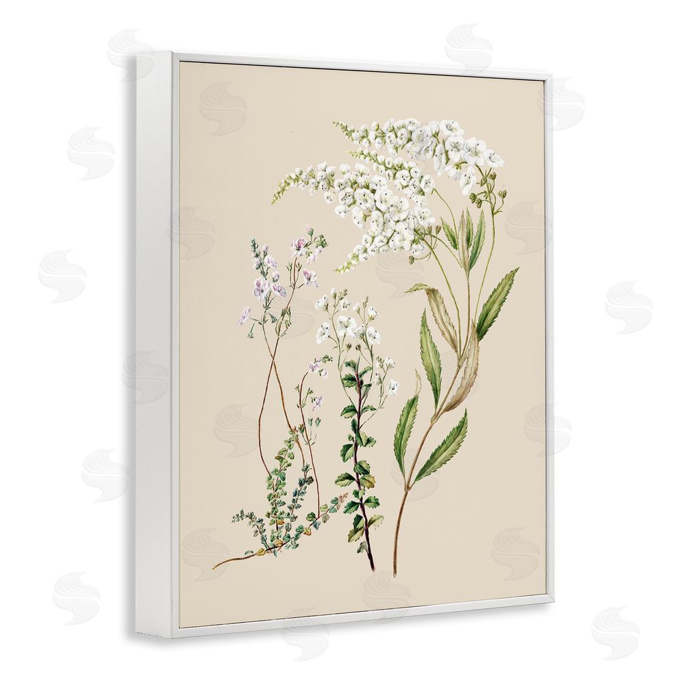 1x Curving White Wildflower Study White Framed Giclee Wall Art Print