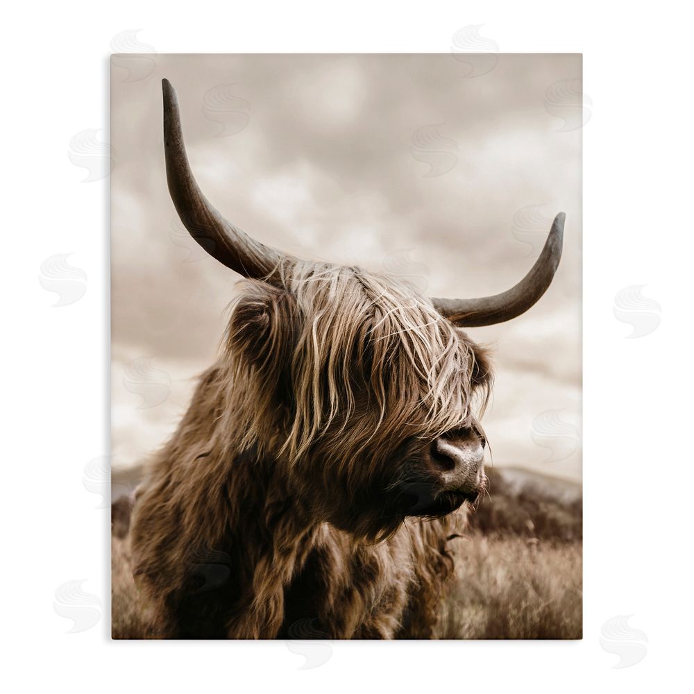 CAD Designs Highland Cow on Windswept Moor Stretched Canvas Wall Art Print