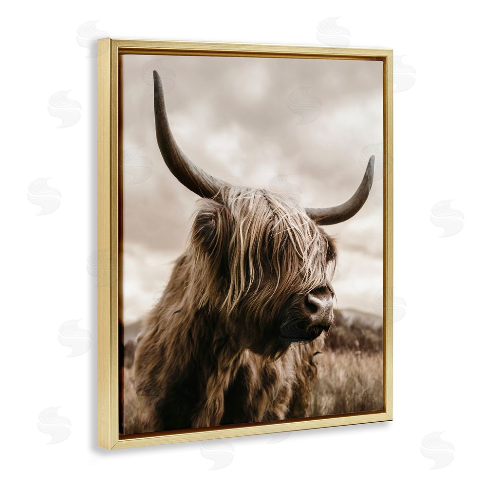 CAD Designs Highland Cow on Windswept Moor Gold Floating Frame Canvas Wall Art Print