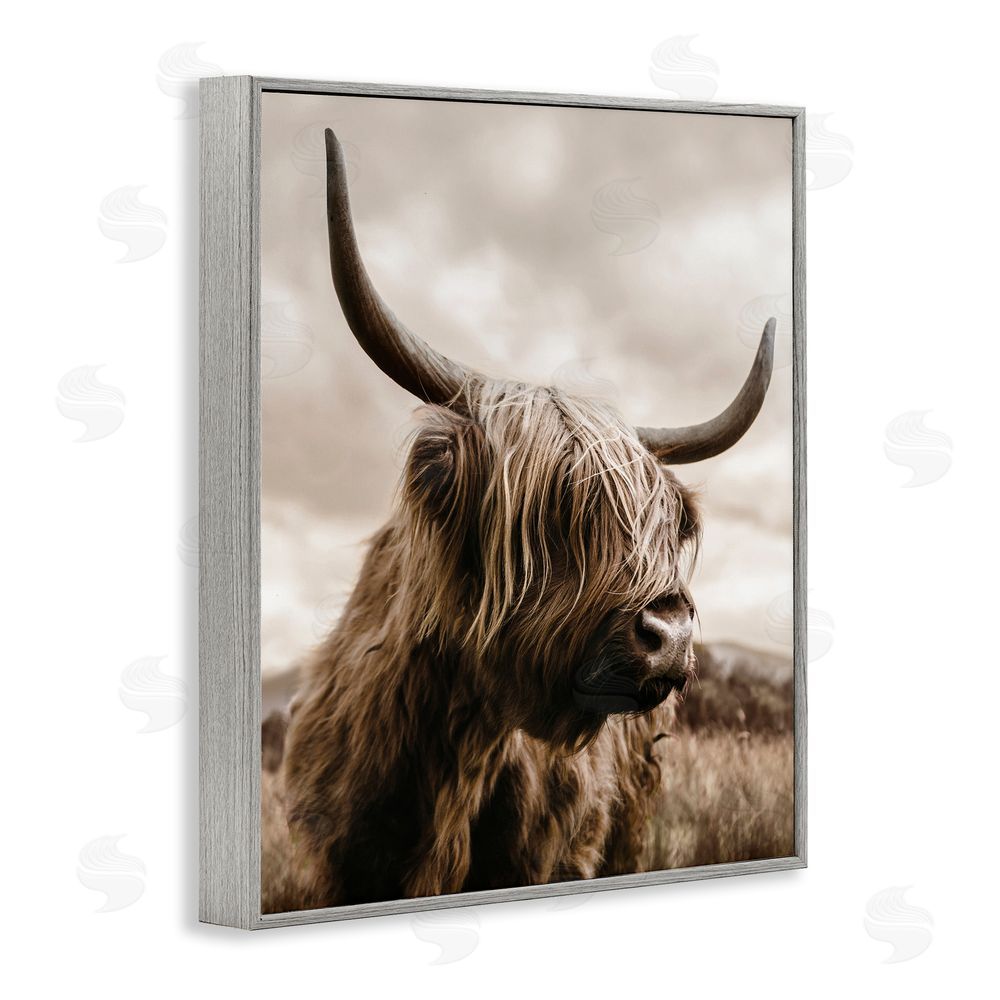 CAD Designs Highland Cow on Windswept Moor Gray Framed Giclee Wall Art Print