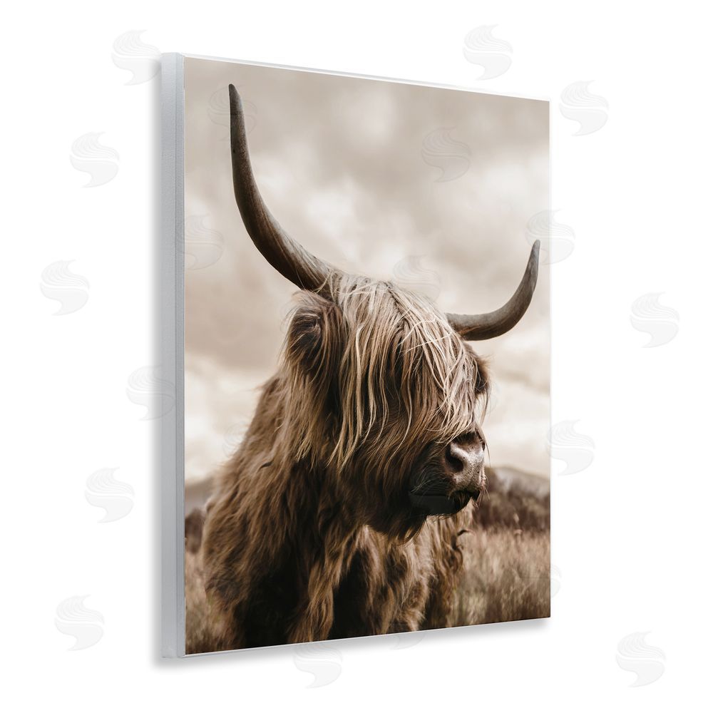CAD Designs Highland Cow on Windswept Moor Wooden Wall Plaque Art Print