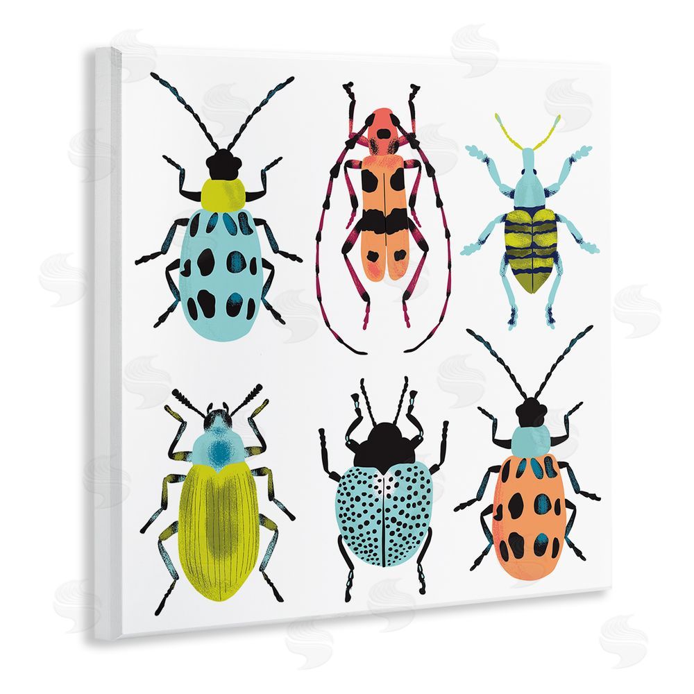 Metka Hiti Beetles & Bugs Collection Wall Plaque Art Print