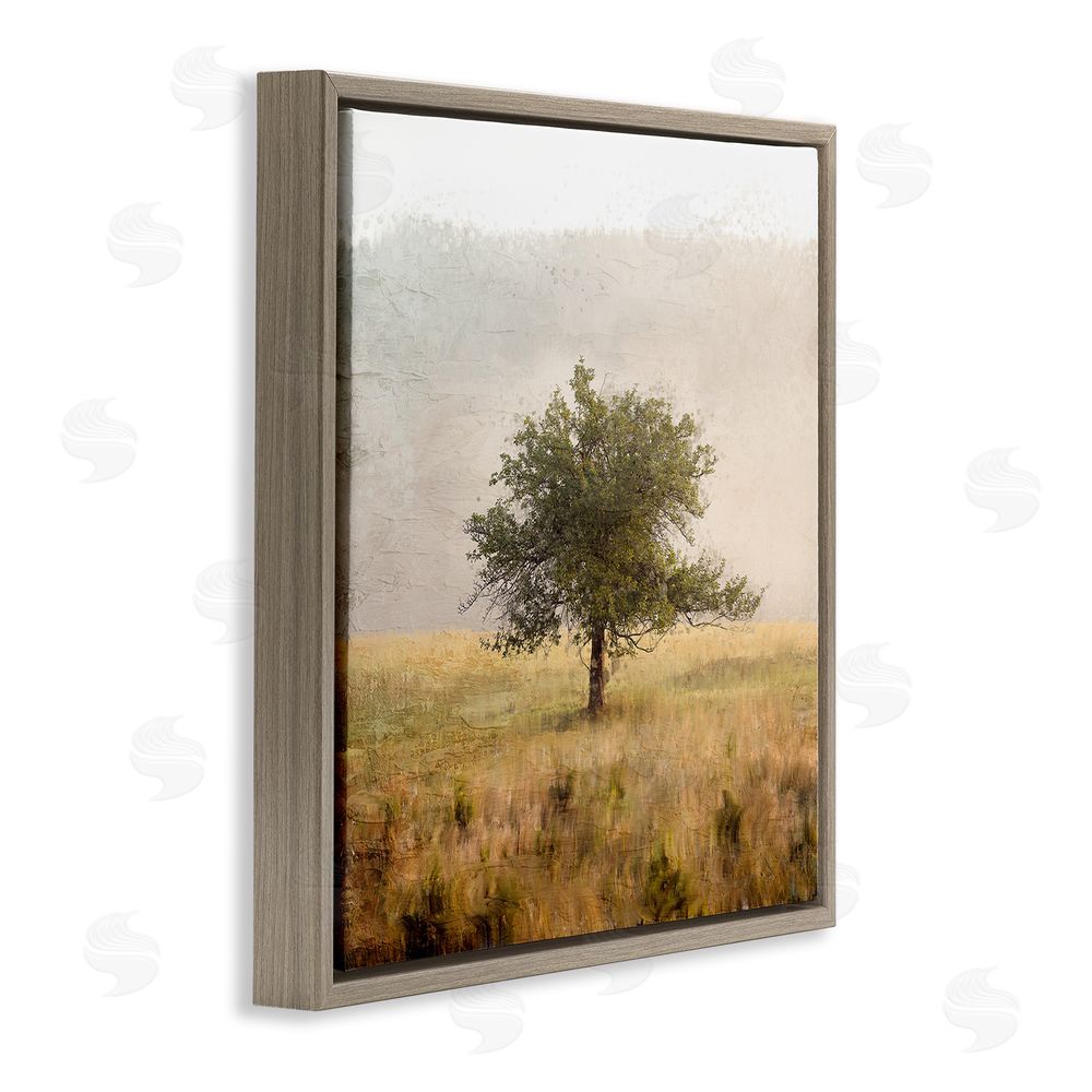 Anne Bailey Tree Alone in Golden Field Brown Floating Frame Canvas Wall Art Print