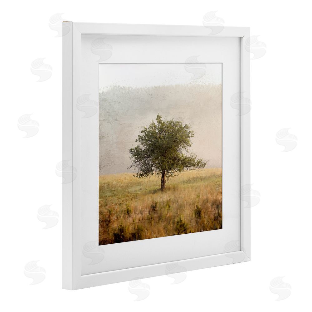 Anne Bailey Tree Alone in Golden Field White Framed Print Under Glass Wall Art