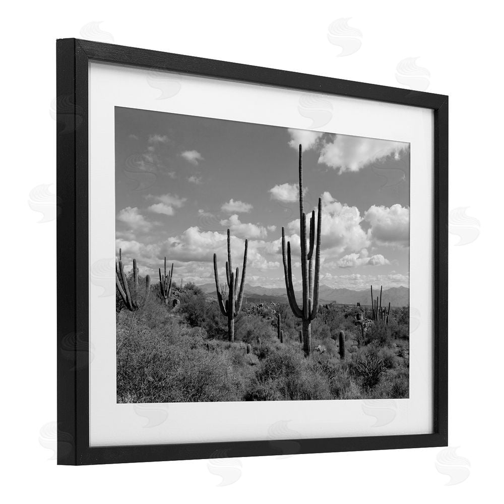 Michelle Hutchins Monochrome Saguaro Desert Vista Black Framed Print Under Glass Wall Art