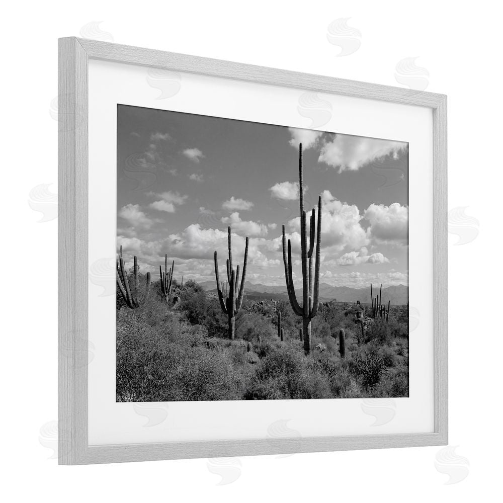 Michelle Hutchins Monochrome Saguaro Desert Vista Gray Framed Print Under Glass Wall Art