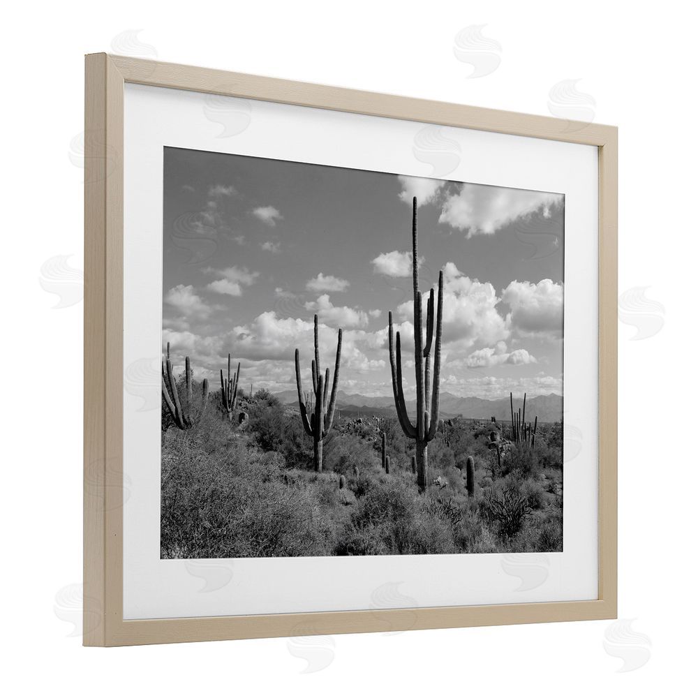 Michelle Hutchins Monochrome Saguaro Desert Vista Brown Framed Print Under Glass Wall Art
