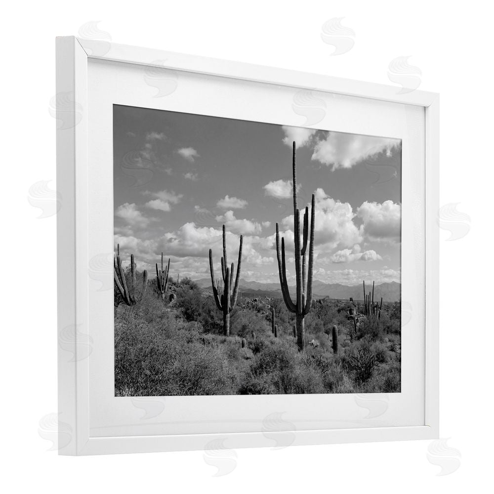 Michelle Hutchins Monochrome Saguaro Desert Vista White Framed Print Under Glass Wall Art