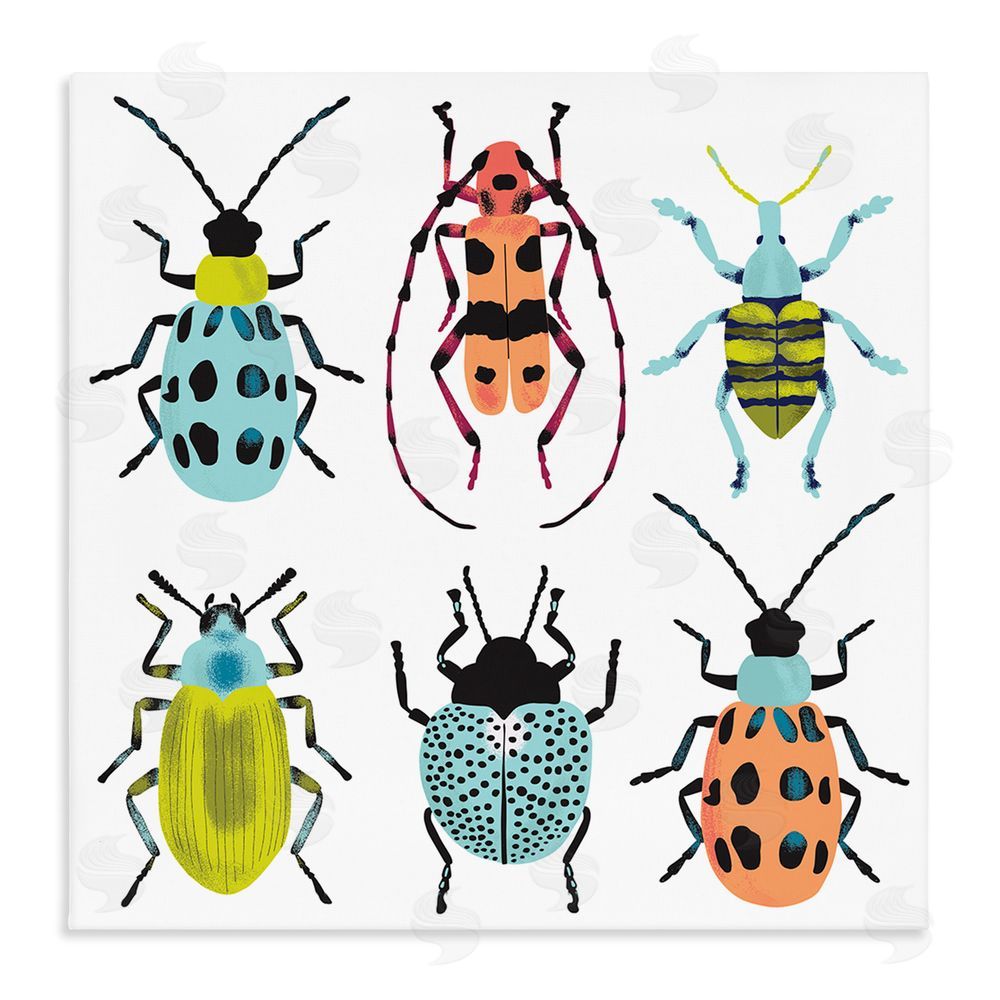 Metka Hiti Beetles & Bugs Collection Stretched Canvas Wall Art Print