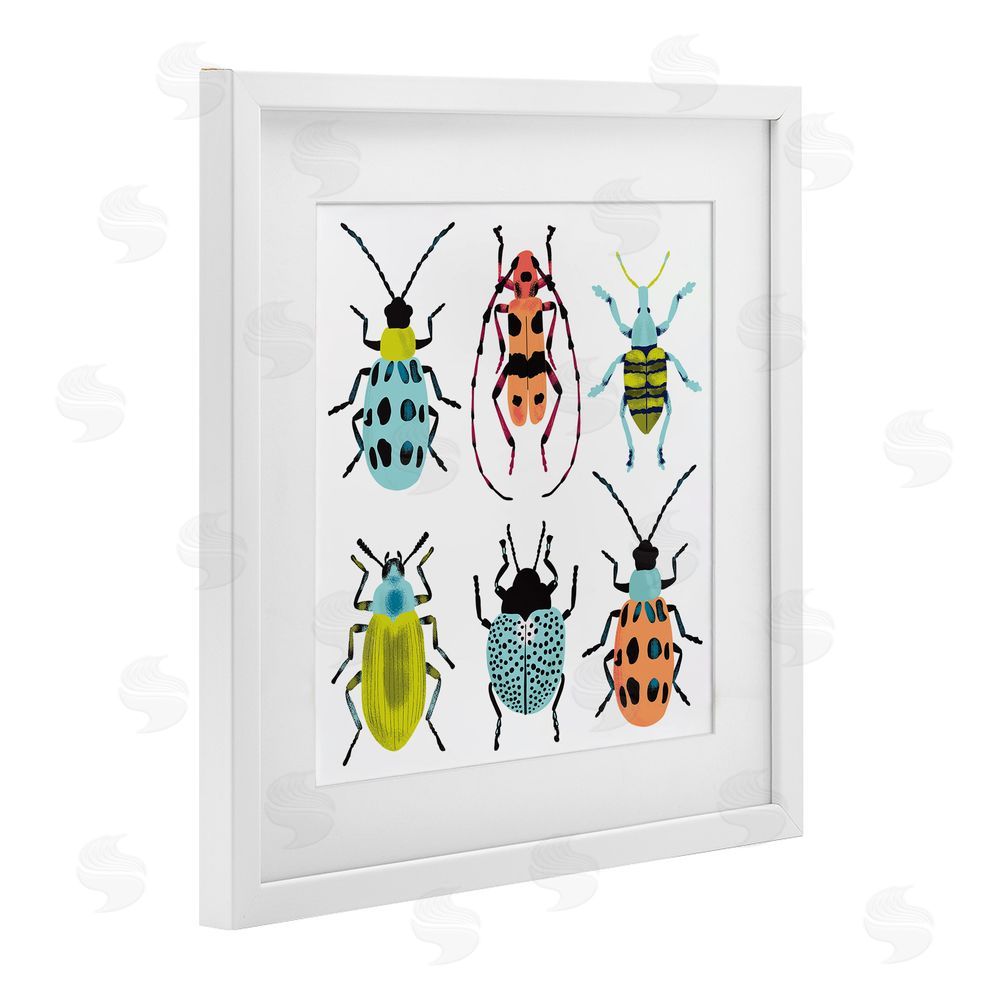 Metka Hiti Beetles & Bugs Collection White Framed Print Under Glass Wall Art