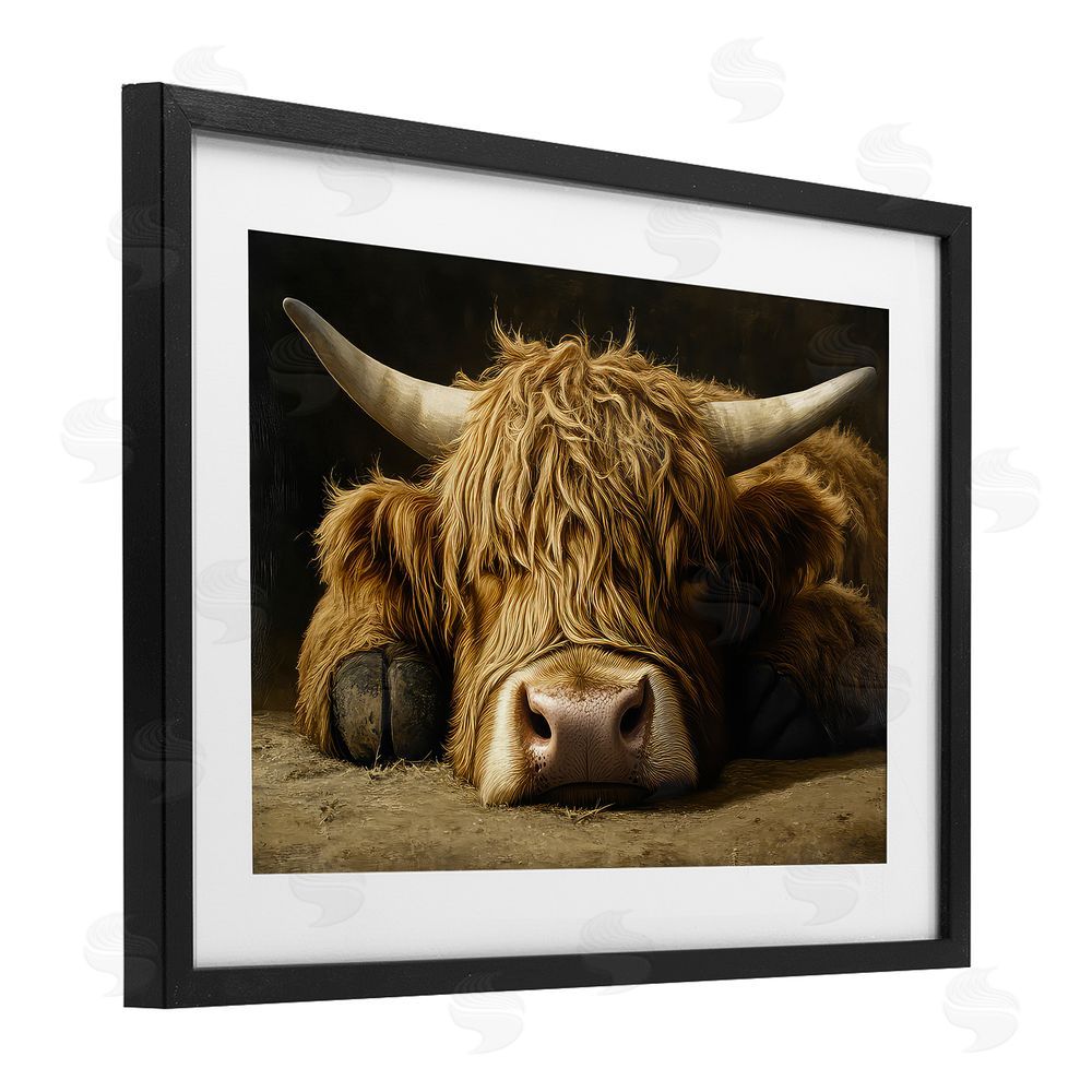 The Wands Want Sleeping Highland Cow & Hoof Black Framed Print Under Glass Wall Art