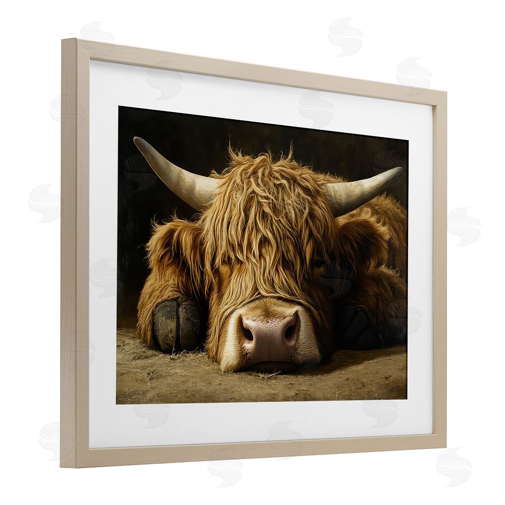 The Wands Want Sleeping Highland Cow & Hoof Brown Framed Print Under Glass Wall Art