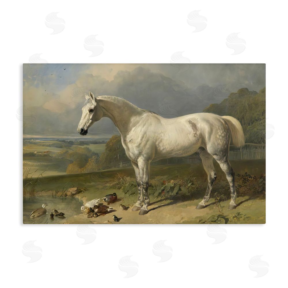 Tina LeCour Grey Horse And Ducks In Landscape Stretched Canvas Wall Art Print