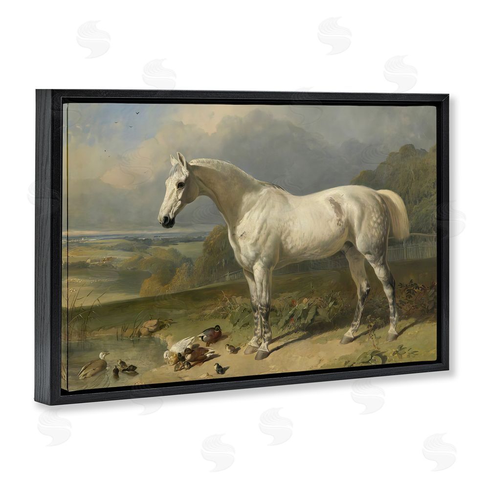 Tina LeCour Grey Horse And Ducks In Landscape Black Floating Frame Canvas Wall Art Print