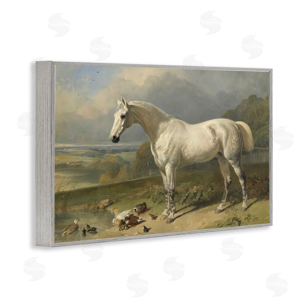 Tina LeCour Grey Horse And Ducks In Landscape Gray Framed Giclee Wall Art Print
