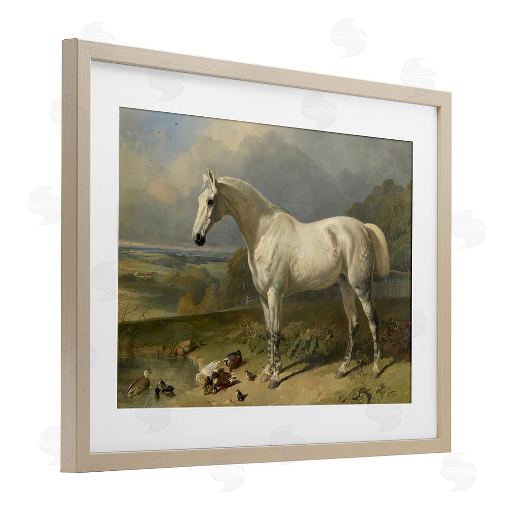 Tina LeCour Grey Horse And Ducks In Landscape Brown Framed Print Under Glass Wall Art