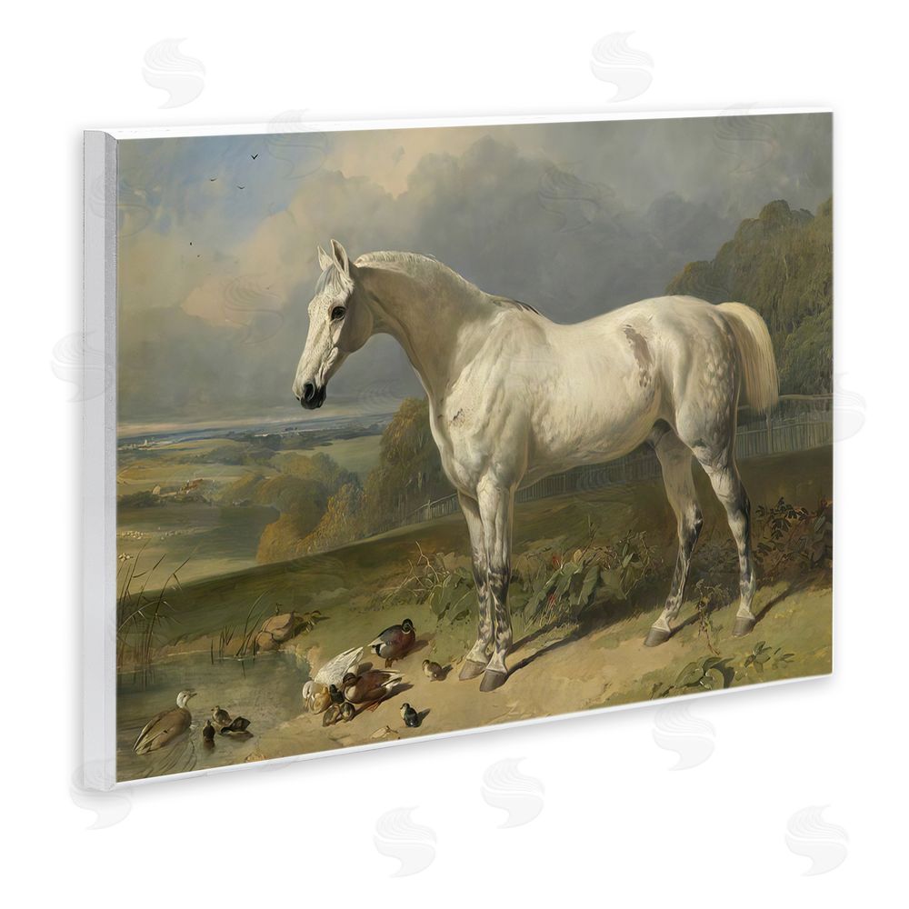 Tina LeCour Grey Horse And Ducks In Landscape Wooden Wall Plaque Art Print