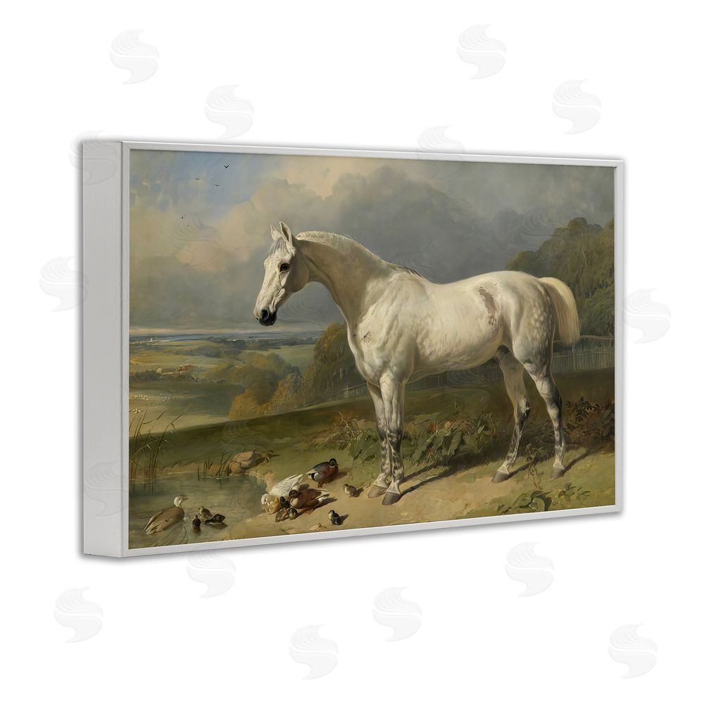 Tina LeCour Grey Horse And Ducks In Landscape White Framed Giclee Wall Art Print