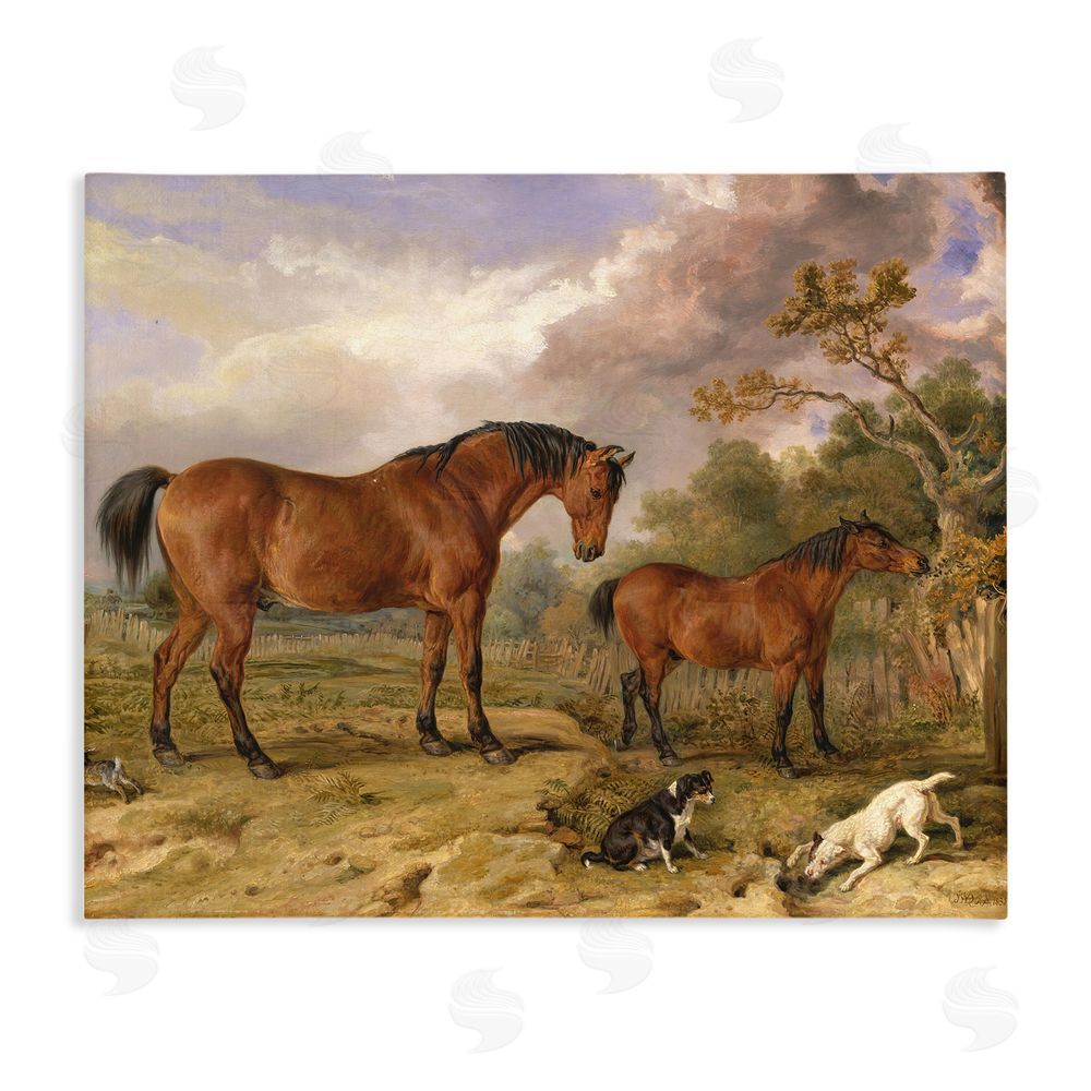 Tina LeCour Classic Portrait of Horses Stretched Canvas Wall Art Print