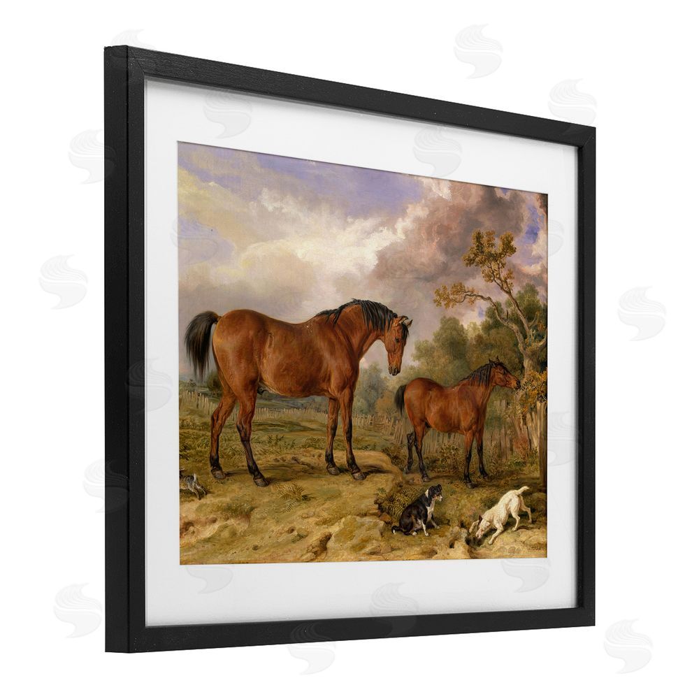 Tina LeCour Classic Portrait of Horses Black Framed Print Under Glass Wall Art
