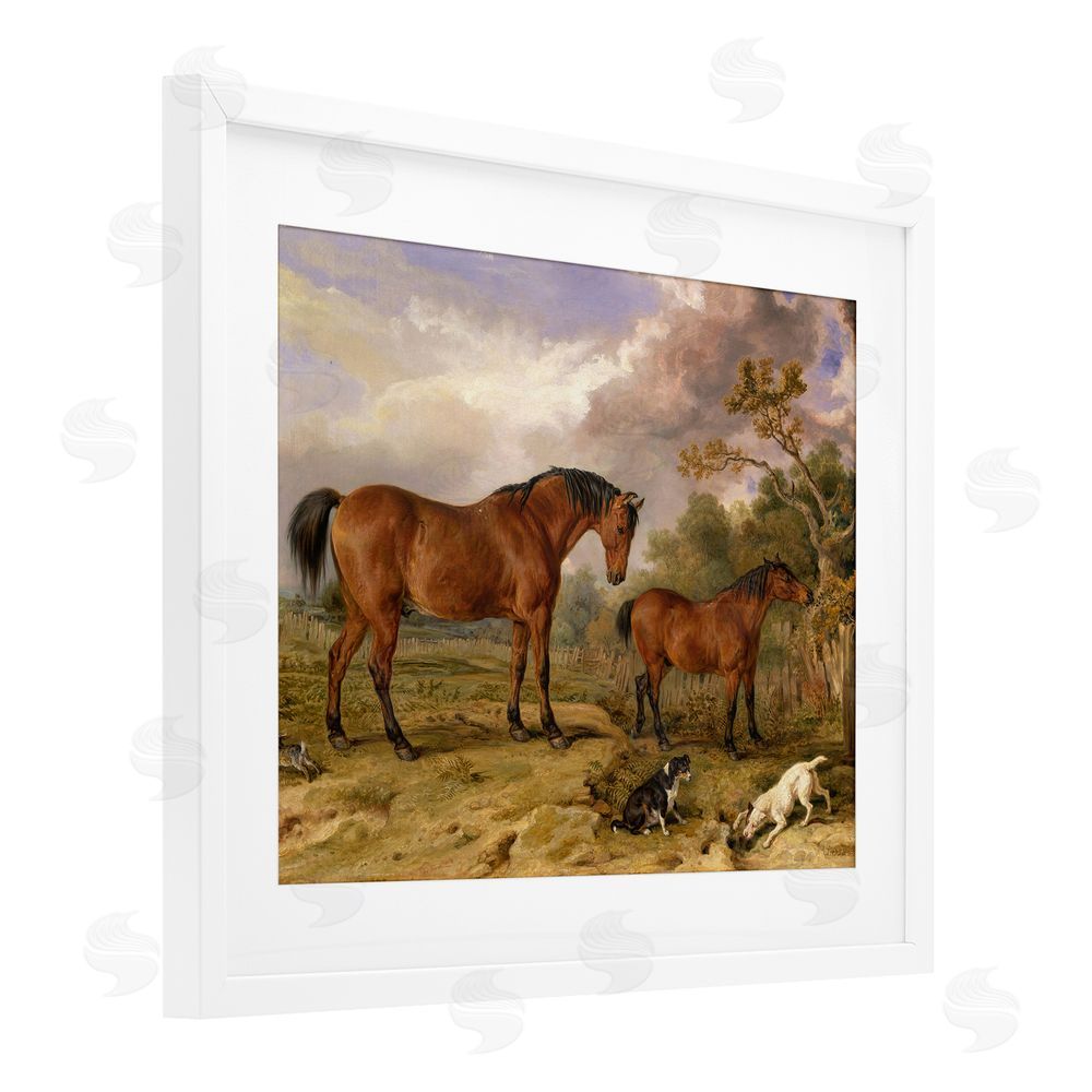 Tina LeCour Classic Portrait of Horses White Framed Print Under Glass Wall Art