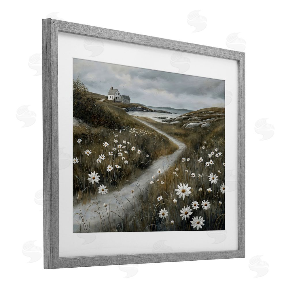 Imagine It Images Daisies Along Coastal Path Gray Framed Print Under Glass Wall Art