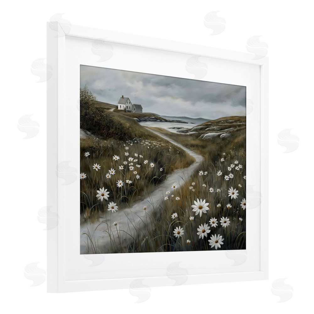 Imagine It Images Daisies Along Coastal Path White Framed Print Under Glass Wall Art