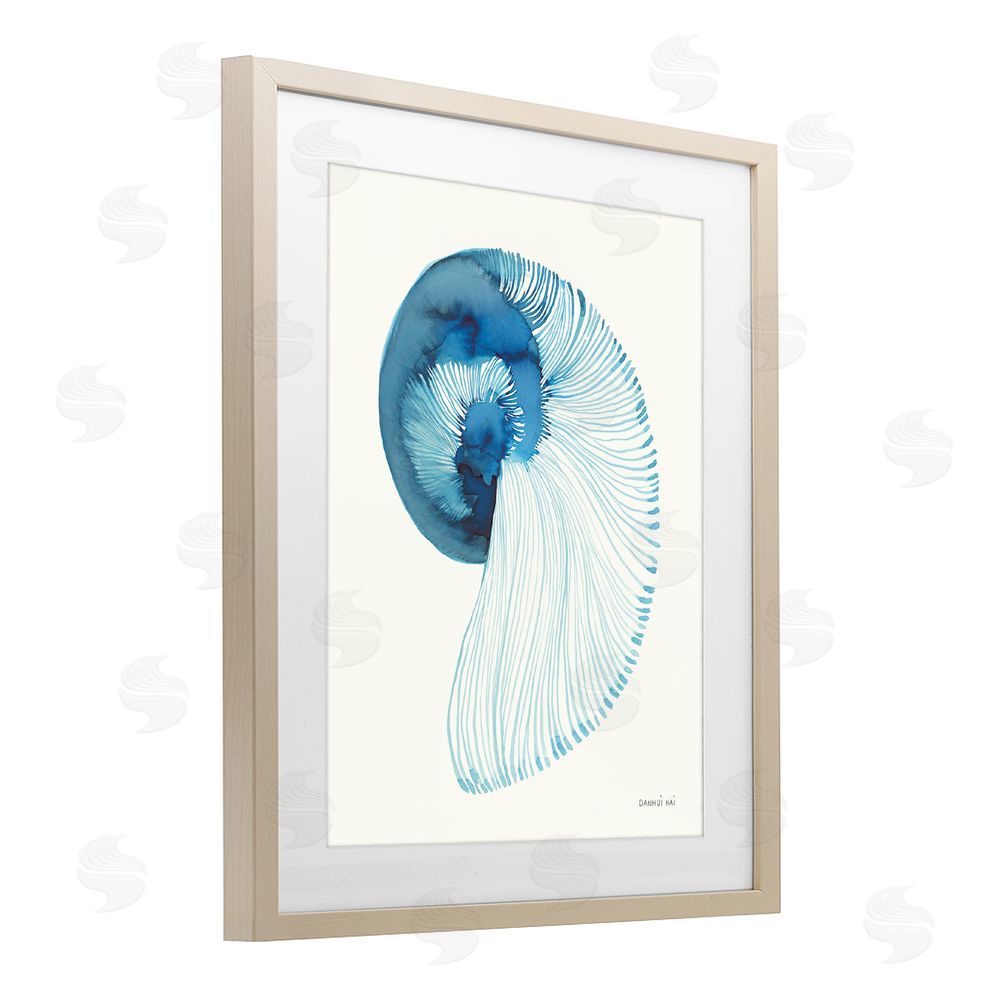 Danhui Nai Blue Watercolor Nautilus Brown Framed Print Under Glass Wall Art
