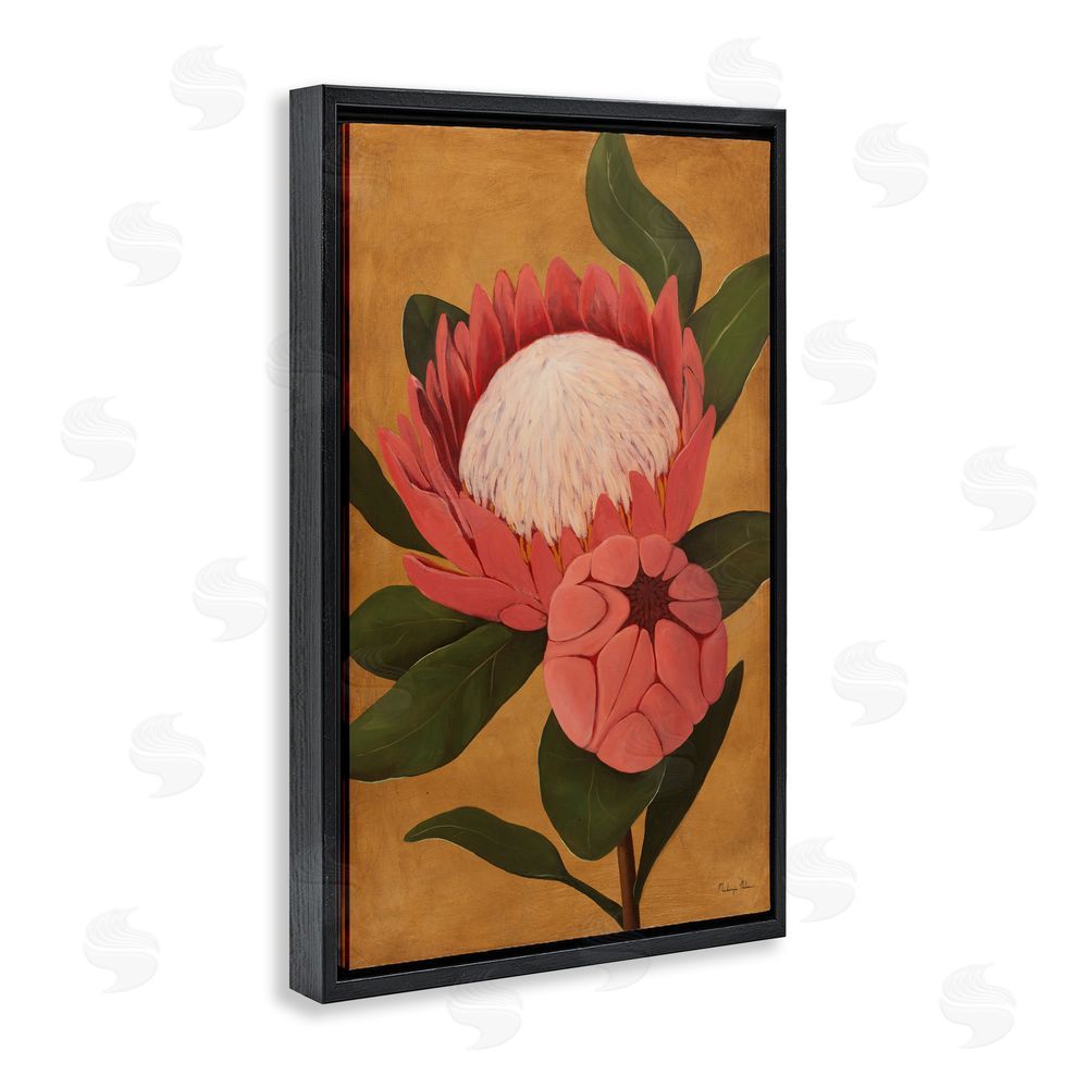 Mackenzie Nelson Bloomed Protea on Gold Black Floating Frame Canvas Wall Art Print