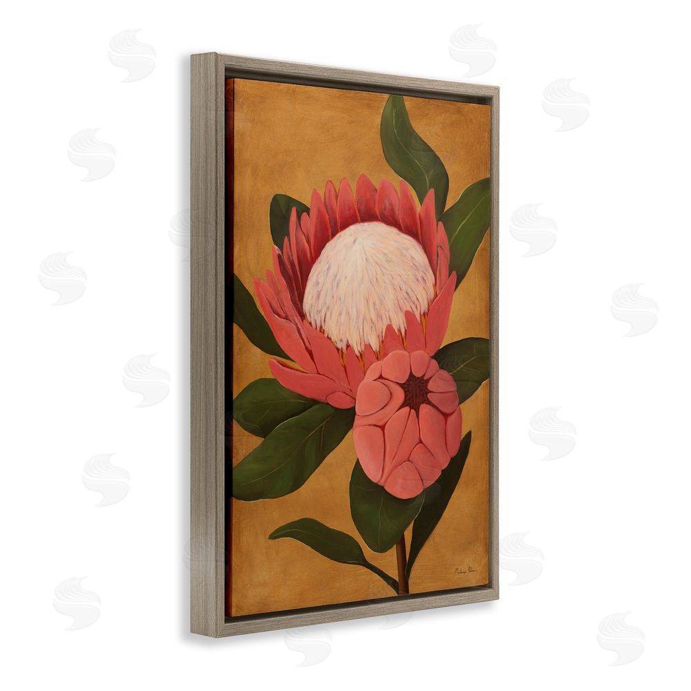 Mackenzie Nelson Bloomed Protea on Gold Brown Floating Frame Canvas Wall Art Print