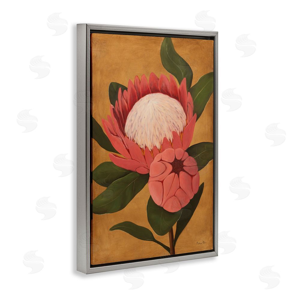 Mackenzie Nelson Bloomed Protea on Gold Gray Floating Frame Canvas Wall Art Print